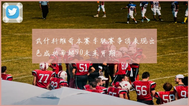 武什科维奇本赛季联赛争顶表现出色成功率超90未来可期