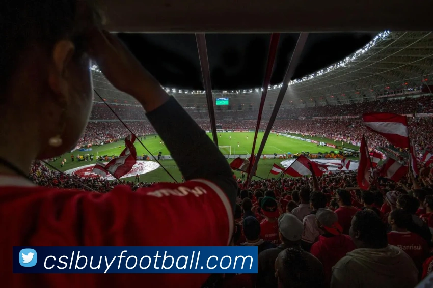 中超买球官网APP 封面图